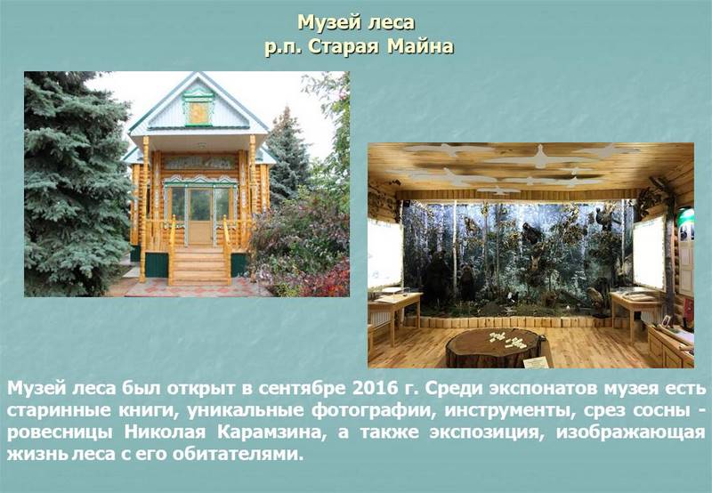 Музей леса р.п. Старая Майна.