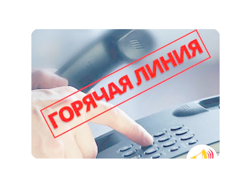 Внимание! Горячая линия!.