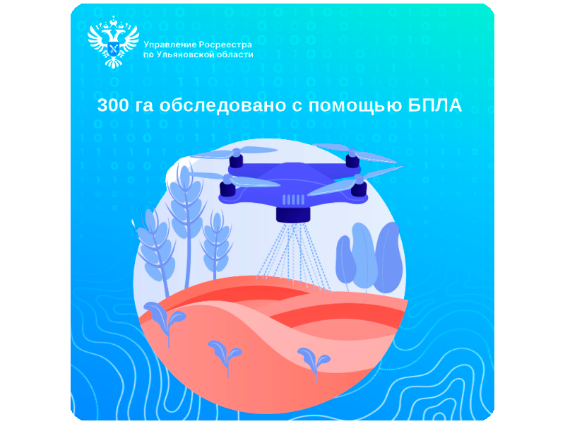300 га обследовано Управлением Росреестра по Ульяновской области с помощью беспилотного летательного аппарата (БПЛА).