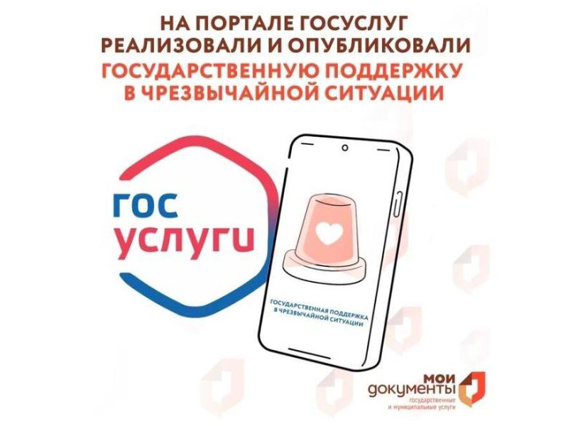 На портале госуслуг реализовали и опубликовали государственную поддержку в чрезвычайной ситуации.