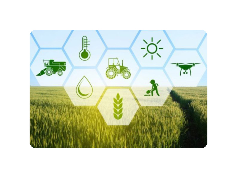 Осенние полевые работы 2025 год.