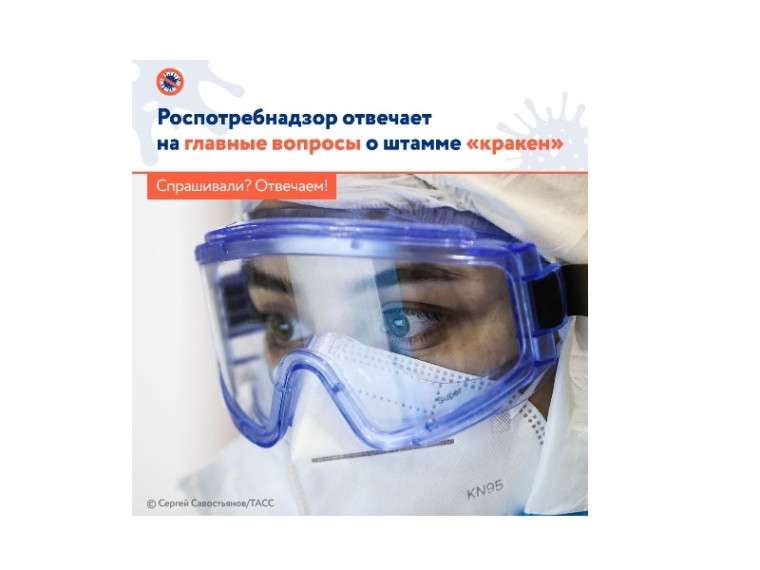 Роспотребнадзор отвечает на главные вопросы о штамме "кракен". Роспотребнадзор отвечает на главные вопросы о штамме "кракен".