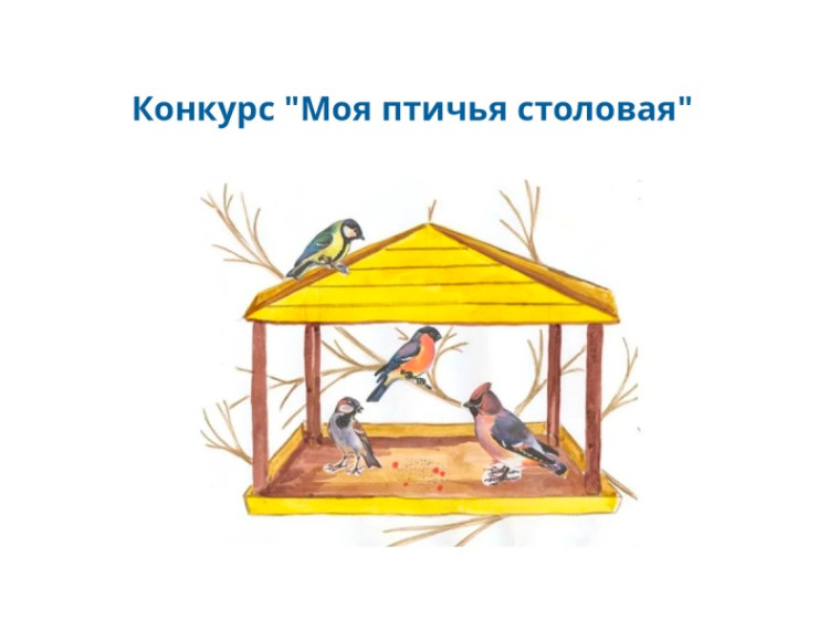 Конкурс "Моя птичья столовая". Конкурс "Моя птичья столовая".